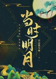 当时明月在无防盗