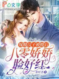 八零年代嫁糙汉桃花引