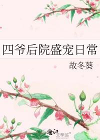 四爷后院五个