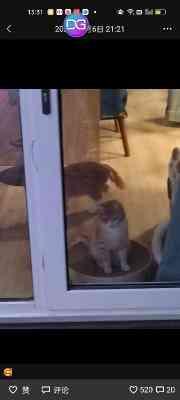 好友狂欢岛体彩嘉年华燃动郑西