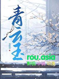 青云玉液酒价格表和图片