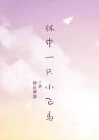 林中一只小飞鸟停止梦游免费阅读