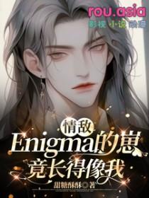 情敌Enigma的崽竟长得像我未删减