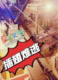 插翅难逃张世豪原型