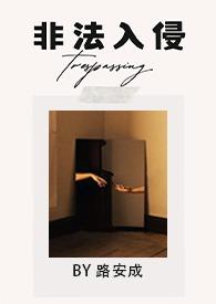 非法入侵怎么判刑