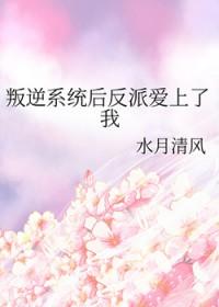 反叛系统 孙小圣