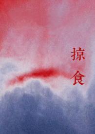 掠夺番外