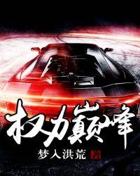权力巅峰txt完整版