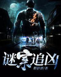 谜案追凶第1季
