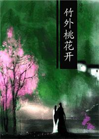竹外桃花开书包网