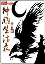 神雕最新