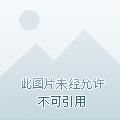 全民领主我变成了丧尸