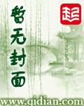 天启的v