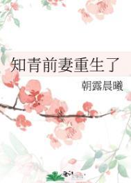 知青前妻重生了完整版