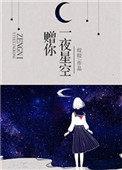 赠你一夜星空完整版txt