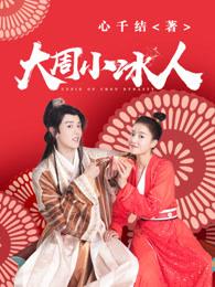 大周小冰人第二季免费全集