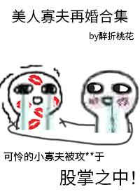 美人寡夫再婚合集TXT最新章节更新时
