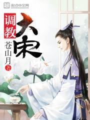 调教大宋 第1039章