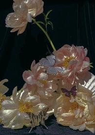 午夜时分的精彩