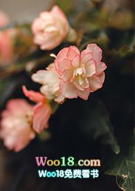 游园惊梦是谁的作品