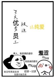 po文优秀员工被迫在校园文搞纯爱30章