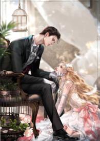 破产后上门女婿成了我的金主