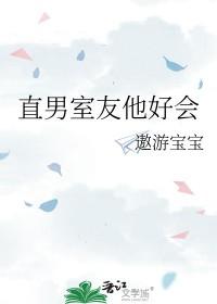 室友他是直男斩讲的什么