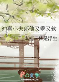 冲喜小夫郎他又乖又软南柯一梦