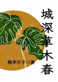 城春草木深全文