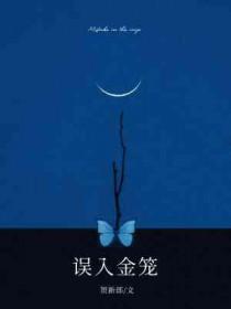 误入金笼番外
