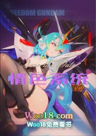 系统高h类小