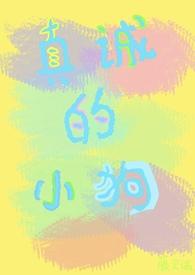 诚实的小狗作文300字