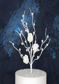 禁果效应姐弟1V1