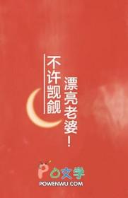 不许觊觎漂亮老婆讲的什么故事