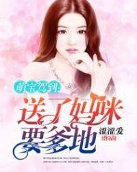 萌宝驾到送了妈咪要爹地免费阅读全文