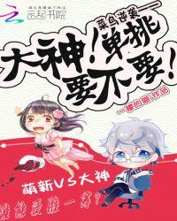 菜鸟和高手和大神