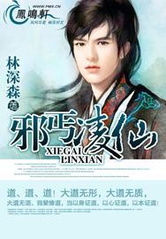 邪丐凌仙全本免费