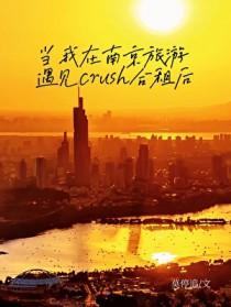 当我在南京旅游遇见crush合租后TXT百度