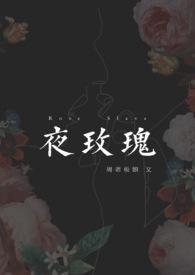 夜玫瑰免费读