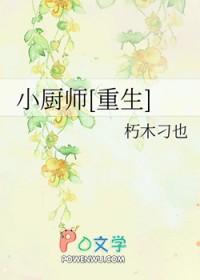 小厨师重生