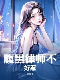腹黑律师不好惹免费阅读