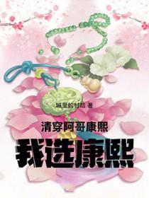 清穿女主被阿哥和康熙