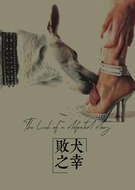 败犬之子