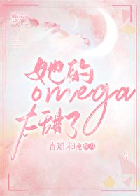 我的omega她跑了甜昼txt