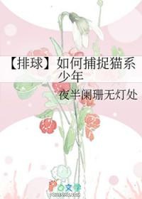 排球少年猫队