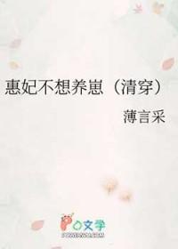 清穿惠妃传
