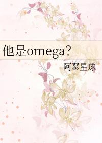 他是omega 作者喜无言