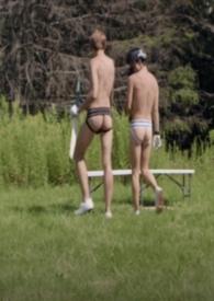 美剧风)作者dying