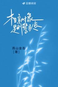 相亲对象是刑警队长全文免费阅读