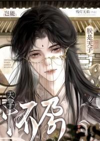 朕是天子岂能怀孕残灯无焰